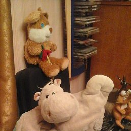 Edwin, Коломна